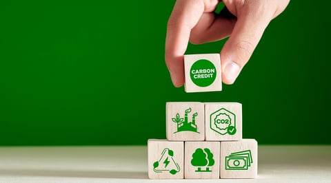 Building blocks showing carbon credits and related icons