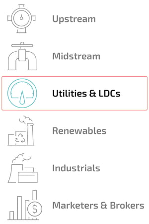 Segments Graphic Utilities and LDCs